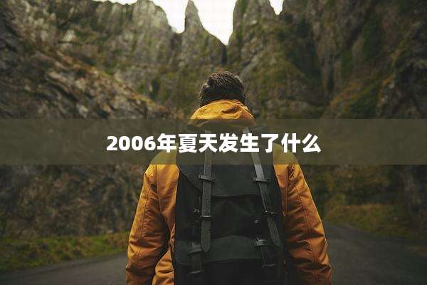 2006年夏天发生了什么