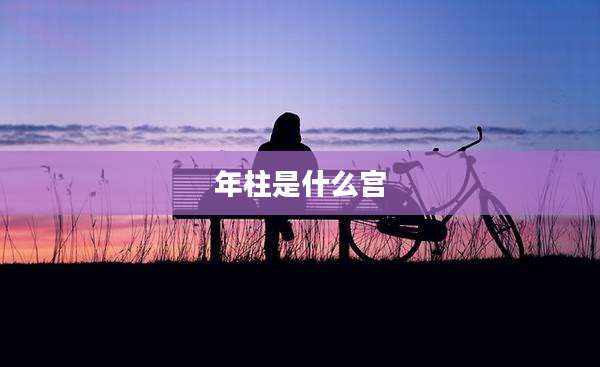 年柱是什么宫