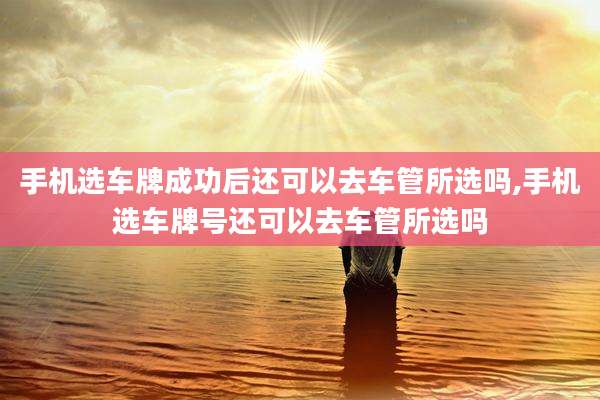 手机选车牌成功后还可以去车管所选吗,手机选车牌号还可以去车管所选吗