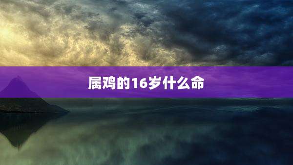属鸡的16岁什么命