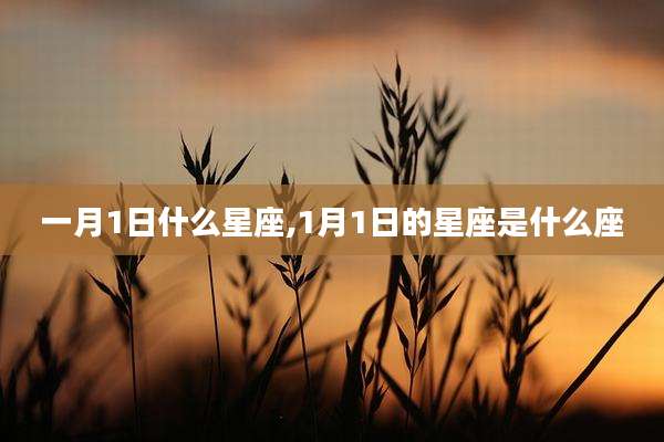 一月1日什么星座,1月1日的星座是什么座