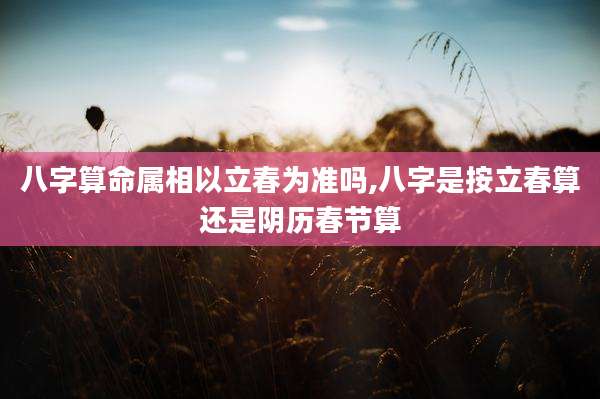八字算命属相以立春为准吗,八字是按立春算还是阴历春节算