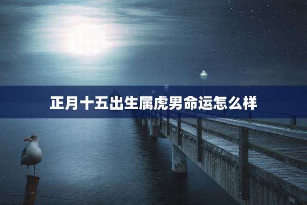 正月十五出生属虎男命运怎么样