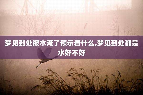 梦见到处被水淹了预示着什么,梦见到处都是水好不好