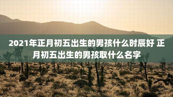 2021年正月初五出生的男孩什么时辰好 正月初五出生的男孩取什么名字