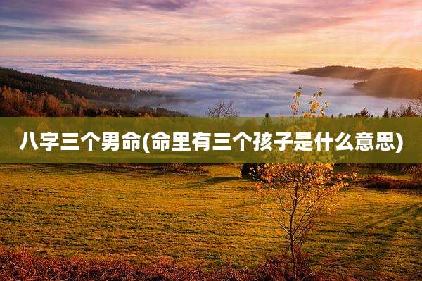 八字三个男命(命里有三个孩子是什么意思)