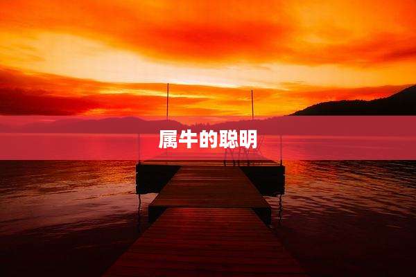 属牛的聪明