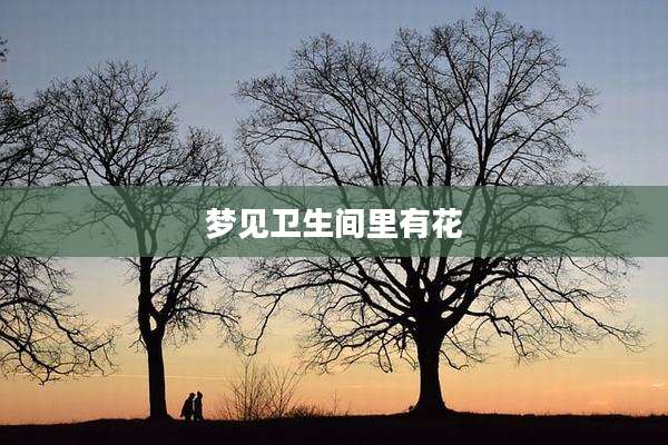梦见卫生间里有花