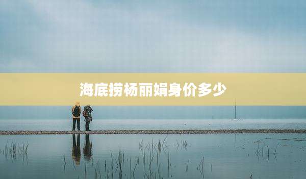 海底捞杨丽娟身价多少