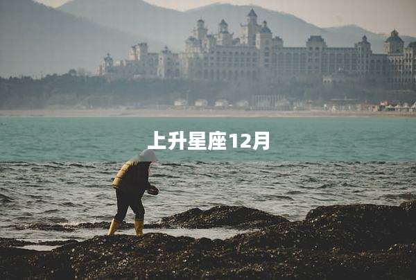 上升星座12月