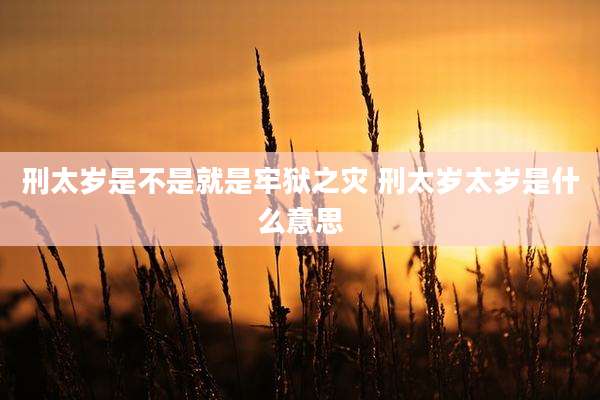 刑太岁是不是就是牢狱之灾 刑太岁太岁是什么意思