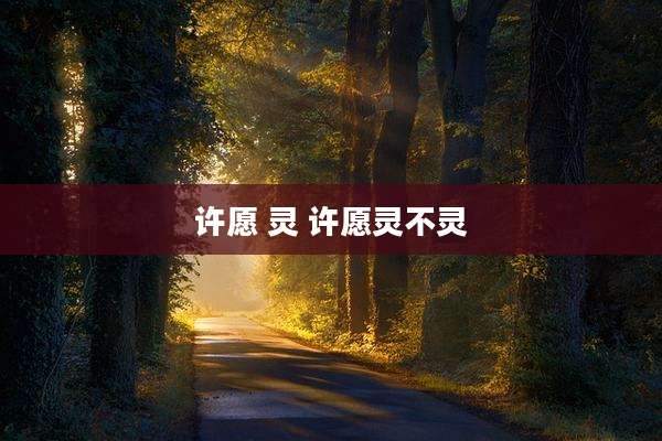 许愿 灵 许愿灵不灵