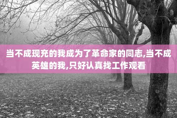 当不成现充的我成为了革命家的同志,当不成英雄的我,只好认真找工作观看