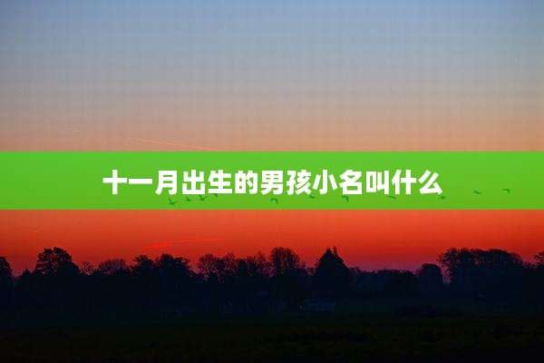 十一月出生的男孩小名叫什么