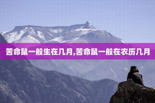 苦命鼠一般生在几月,苦命鼠一般在农历几月