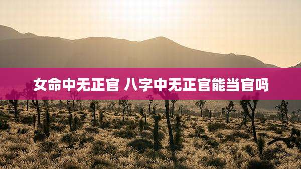 女命中无正官 八字中无正官能当官吗