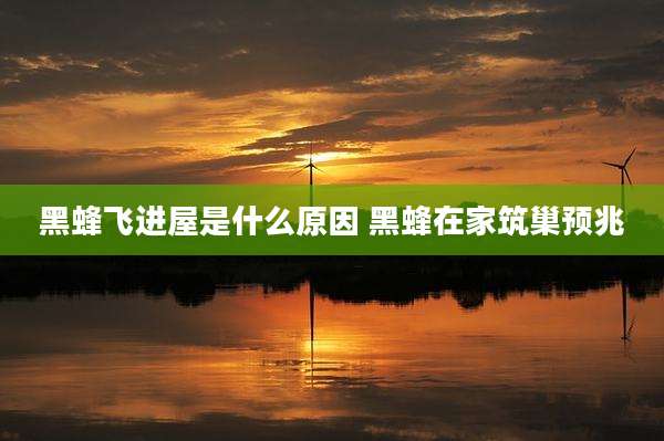 黑蜂飞进屋是什么原因 黑蜂在家筑巢预兆