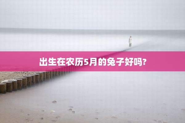 出生在农历5月的兔子好吗?