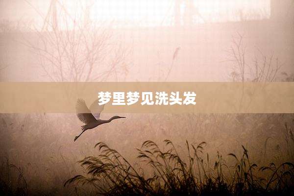 梦里梦见洗头发