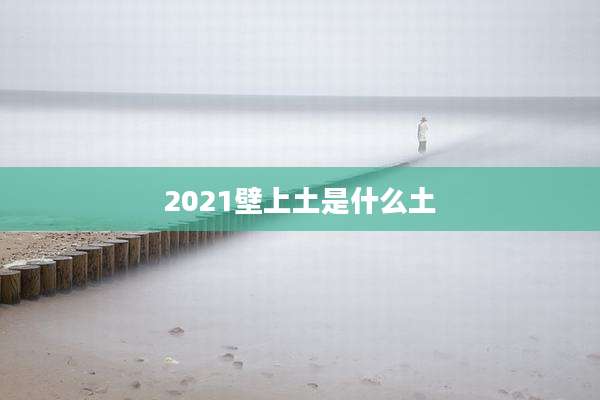 2021壁上土是什么土