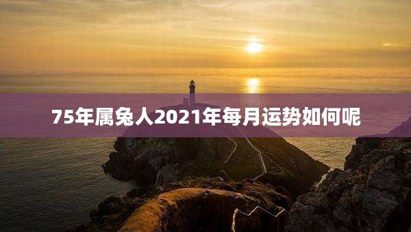 75年属兔人2021年每月运势如何呢