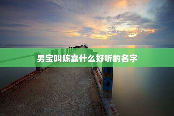 男宝叫陈嘉什么好听的名字