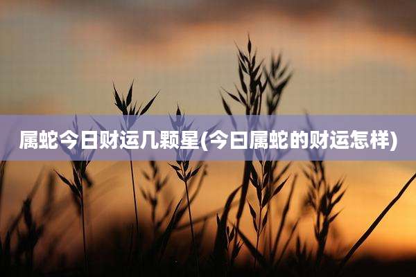 属蛇今日财运几颗星(今曰属蛇的财运怎样)