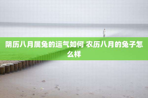阴历八月属兔的运气如何 农历八月的兔子怎么样
