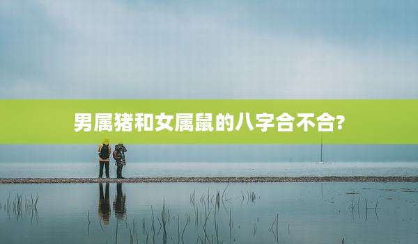 男属猪和女属鼠的八字合不合?