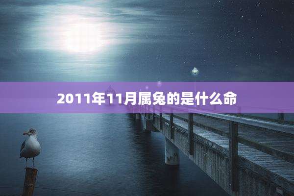 2011年11月属兔的是什么命