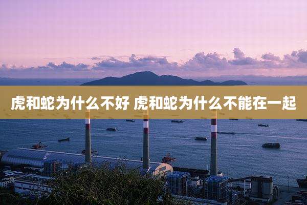 虎和蛇为什么不好 虎和蛇为什么不能在一起