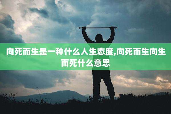 向死而生是一种什么人生态度,向死而生向生而死什么意思