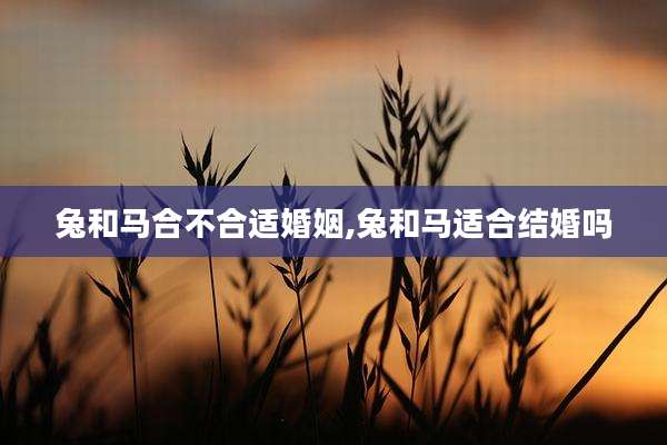 兔和马合不合适婚姻,兔和马适合结婚吗