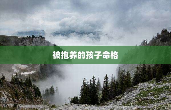 被抱养的孩子命格