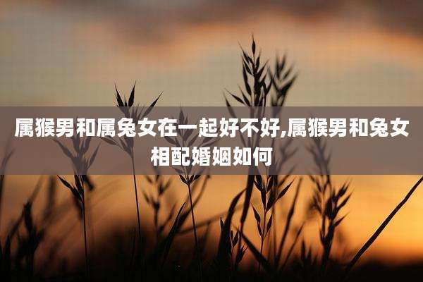 属猴男和属兔女在一起好不好,属猴男和兔女相配婚姻如何