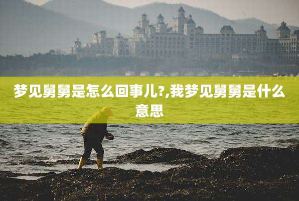 梦见舅舅是怎么回事儿?,我梦见舅舅是什么意思
