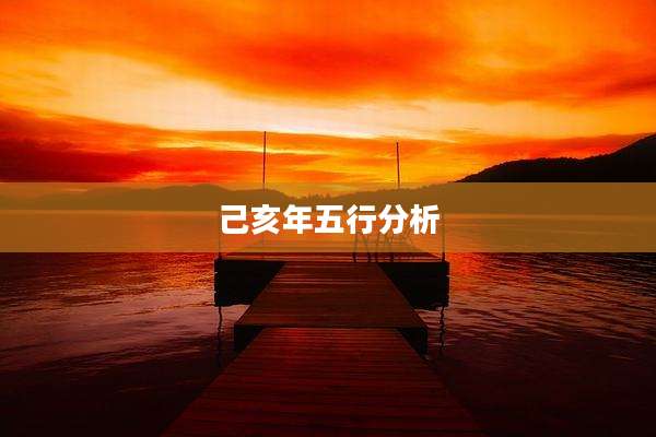 己亥年五行分析