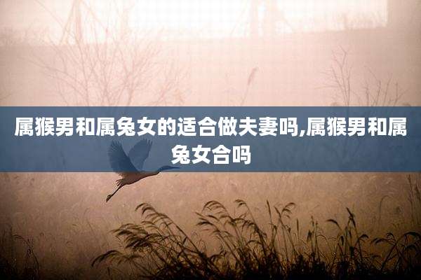 属猴男和属兔女的适合做夫妻吗,属猴男和属兔女合吗