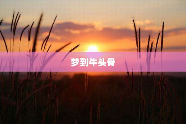 梦到牛头骨