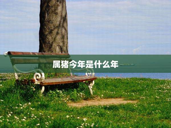 属猪今年是什么年