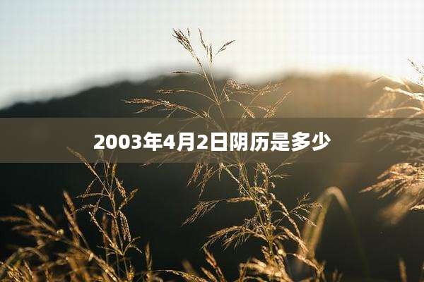 2003年4月2日阴历是多少