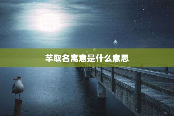 芊取名寓意是什么意思