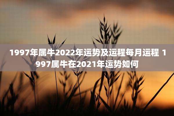 1997年属牛2022年运势及运程每月运程 1997属牛在2021年运势如何