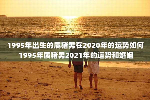 1995年出生的属猪男在2020年的运势如何 1995年属猪男2021年的运势和婚姻