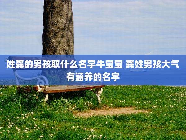姓龚的男孩取什么名字牛宝宝 龚姓男孩大气有涵养的名字