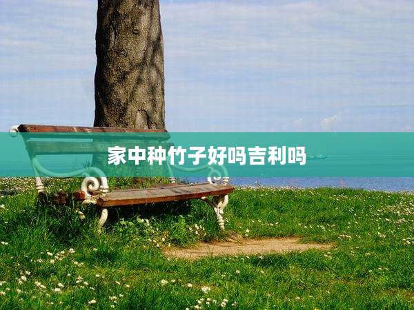家中种竹子好吗吉利吗