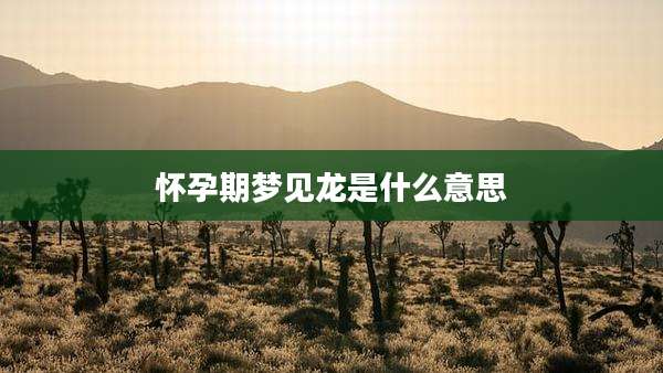 怀孕期梦见龙是什么意思