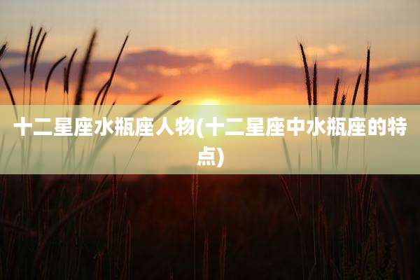 十二星座水瓶座人物(十二星座中水瓶座的特点)