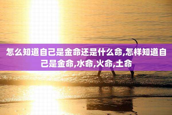 怎么知道自己是金命还是什么命,怎样知道自己是金命,水命,火命,土命