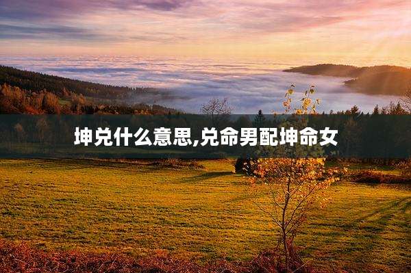坤兑什么意思,兑命男配坤命女